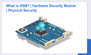 What is a Hardware Security Module (HSM)?